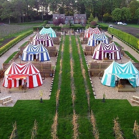 Leeds Castle Knights Glamping Hotel Bilik gambar